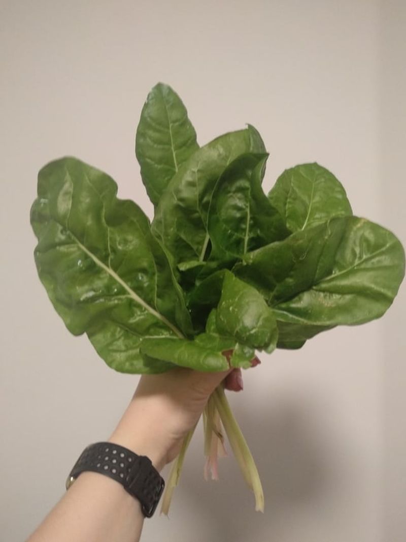 Spinach