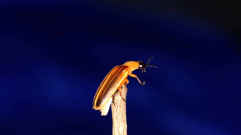 Excessive Outdoor Lighting at Night