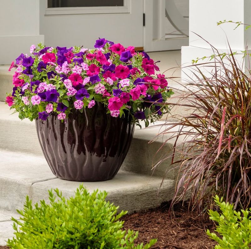 Pleasant Fragrance That Enhances Outdoor Dining