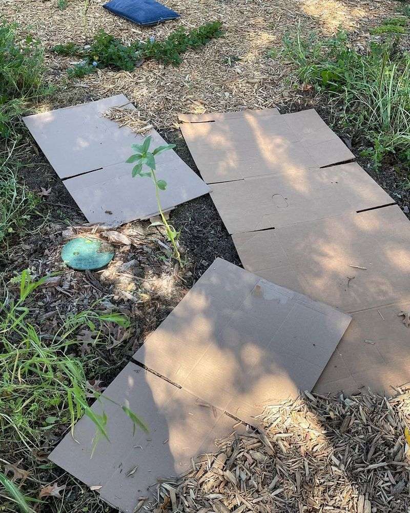Build Compost Directly On Problem Areas