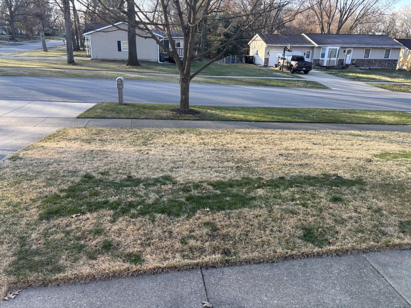 Improves Winter Hardiness Overall