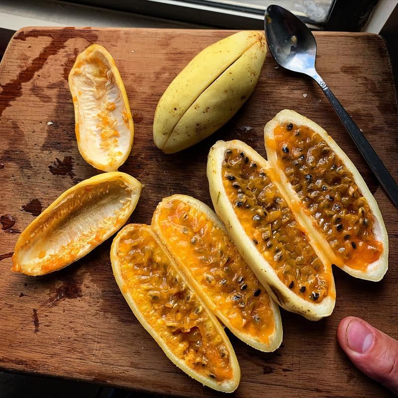 Passion Fruit Seeds