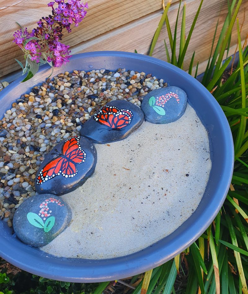 Butterfly Puddling Stone