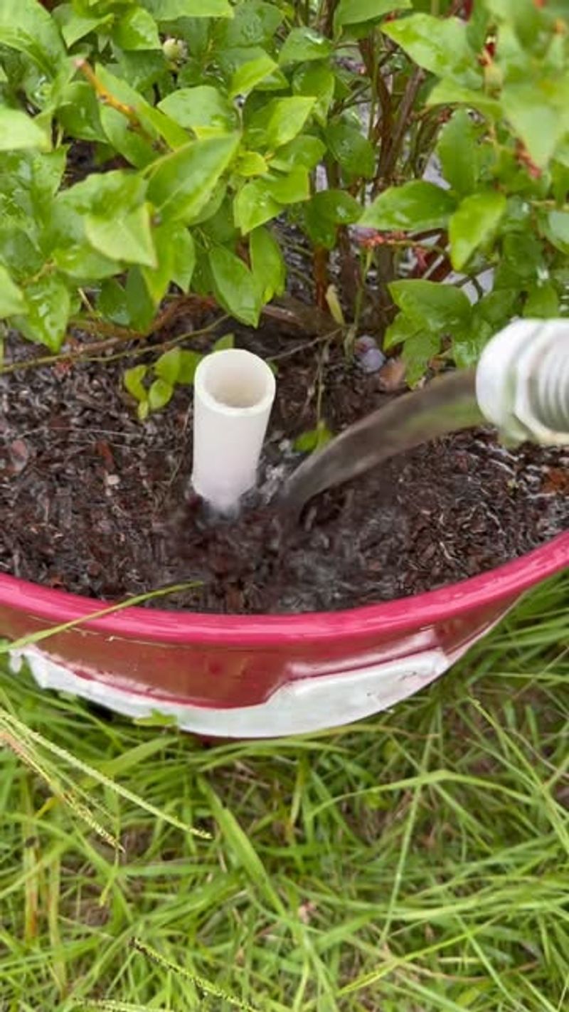 Self-Watering Pots to Beat the Texas Heat