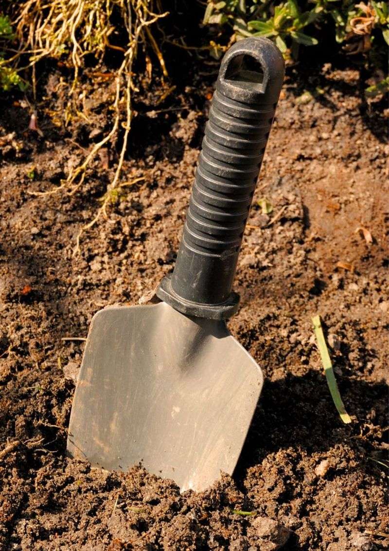 Apply Lime If Needed