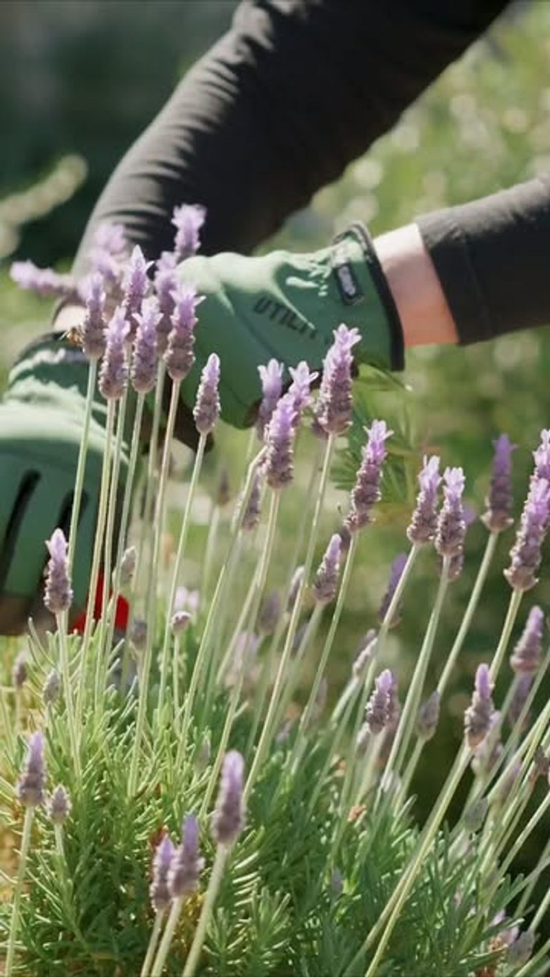 Incorporate Pea Gravel for Root Health