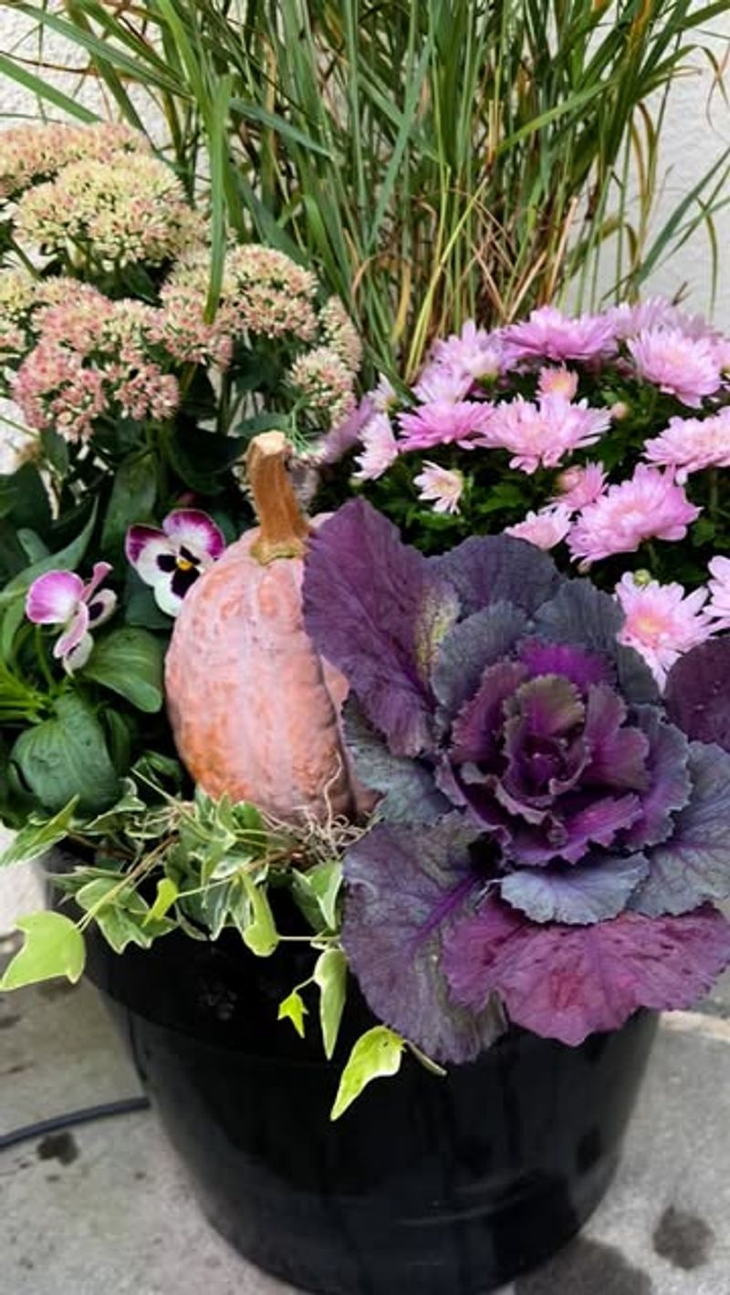 Add Trailing Vines for Softness