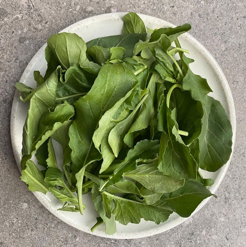 Wasabi Arugula