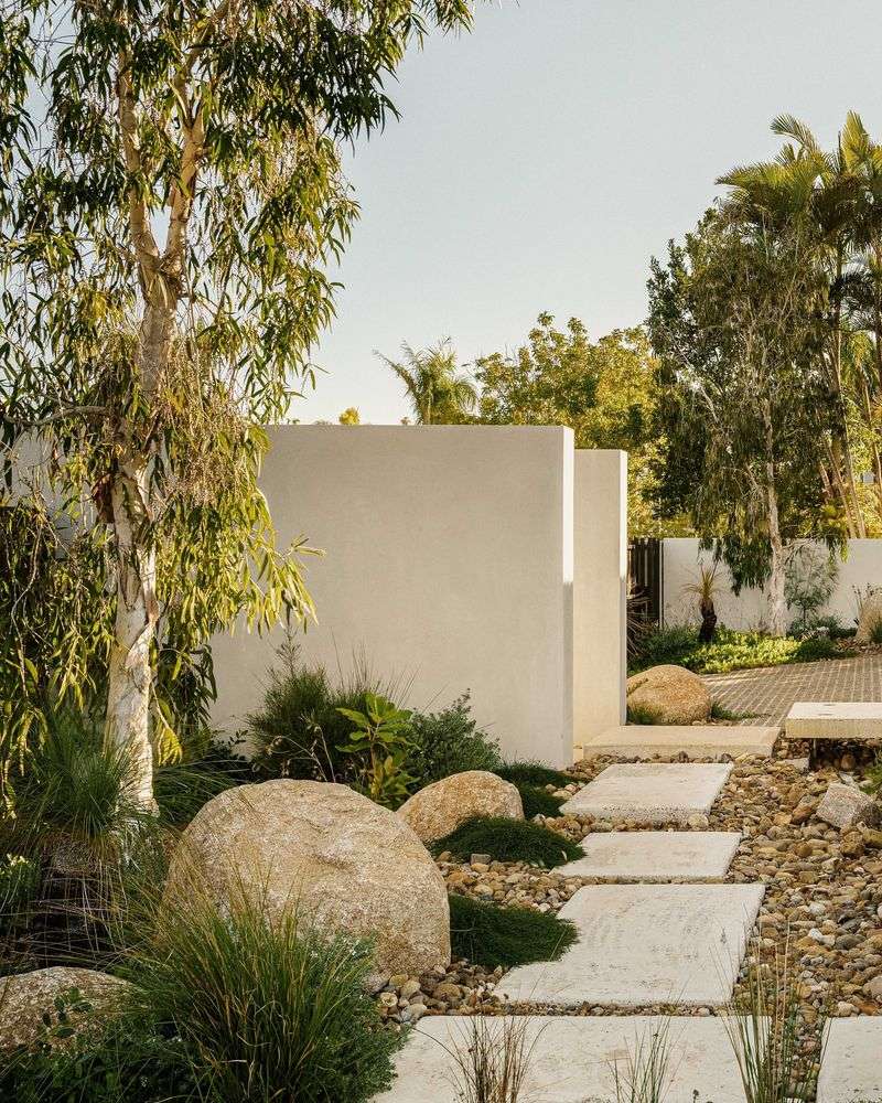 Painted Concrete Fence With Native Plants