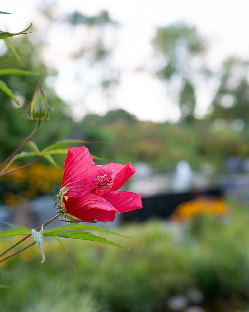 Reduce Deadheading Frequency