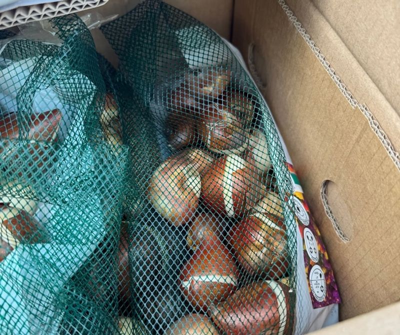 Proper Container Selection