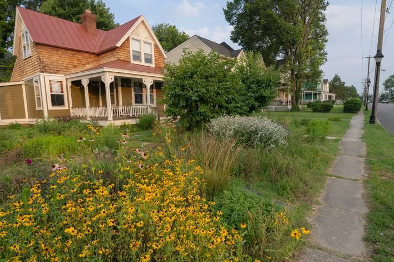 Lack Of Flowering Plants In Urban Areas