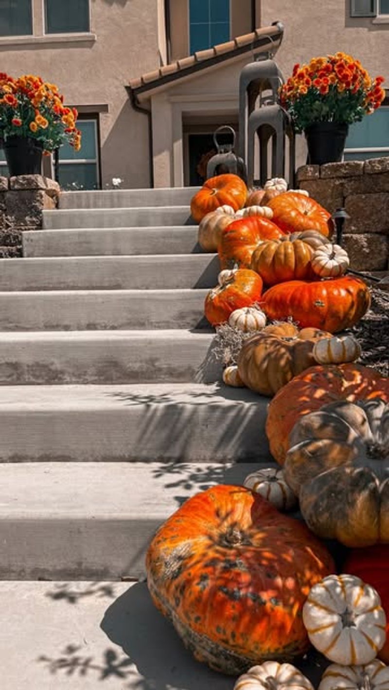 Cascading Porch Steps Arrangement