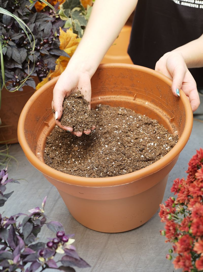 Soil Amendment Secrets For Mountain Gardens