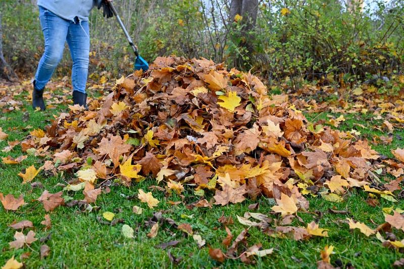 Start A Backyard Compost Bin