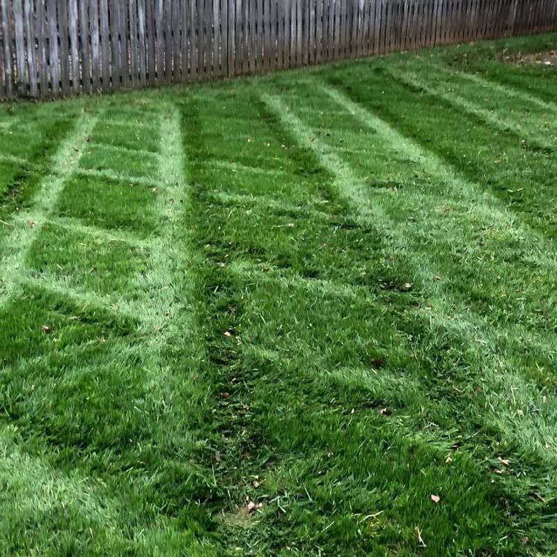 Leave Clippings On The Lawn