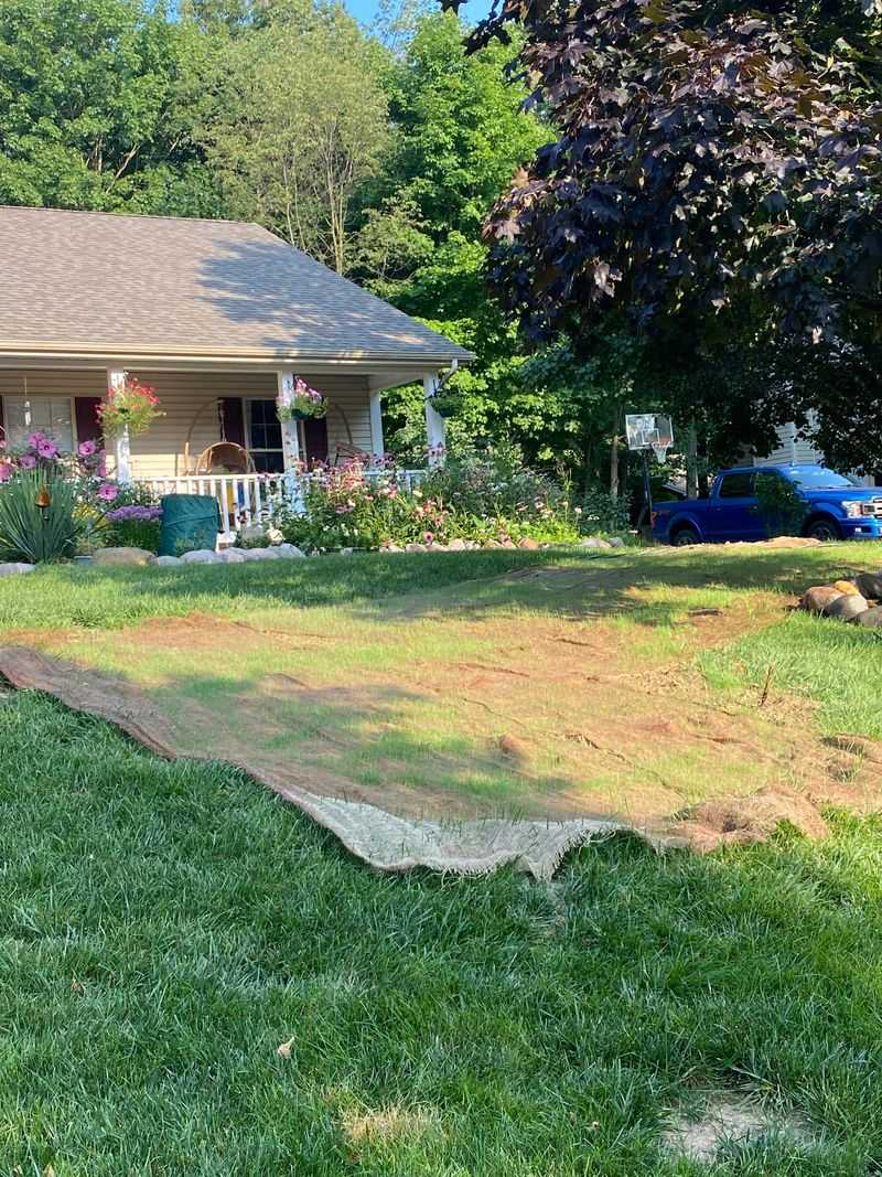 Protecting New Growth Through Mulching And Care