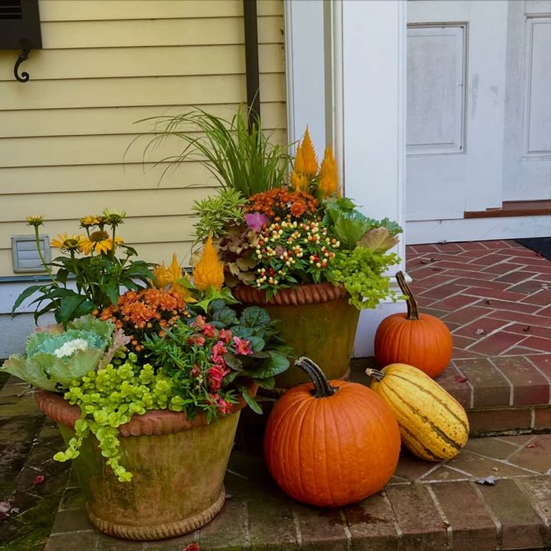 Planting Should Wait Until Spring