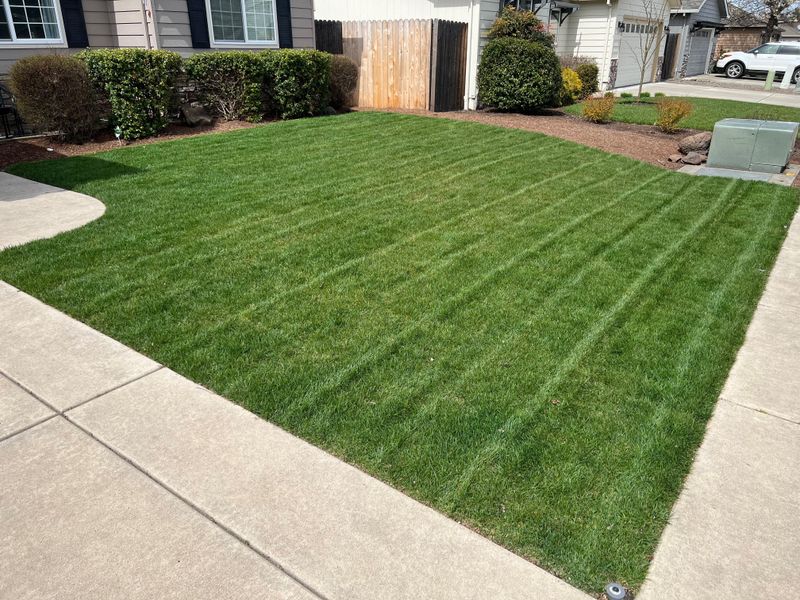 Plan Your Final Mow Carefully