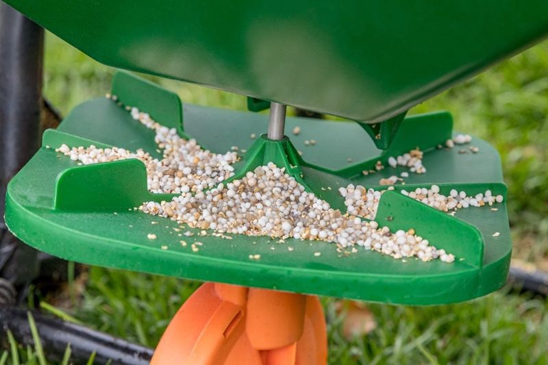 Fertilizing Late In Fall Boosts Spring Growth