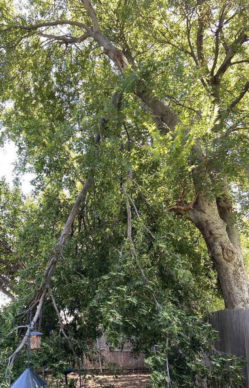 Homeowners Insurance Usually Won't Help
