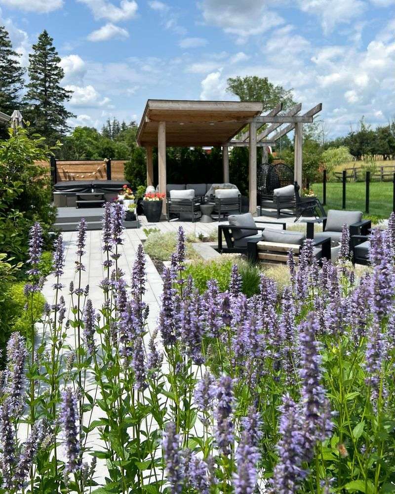 Drought-Tolerant Once Established