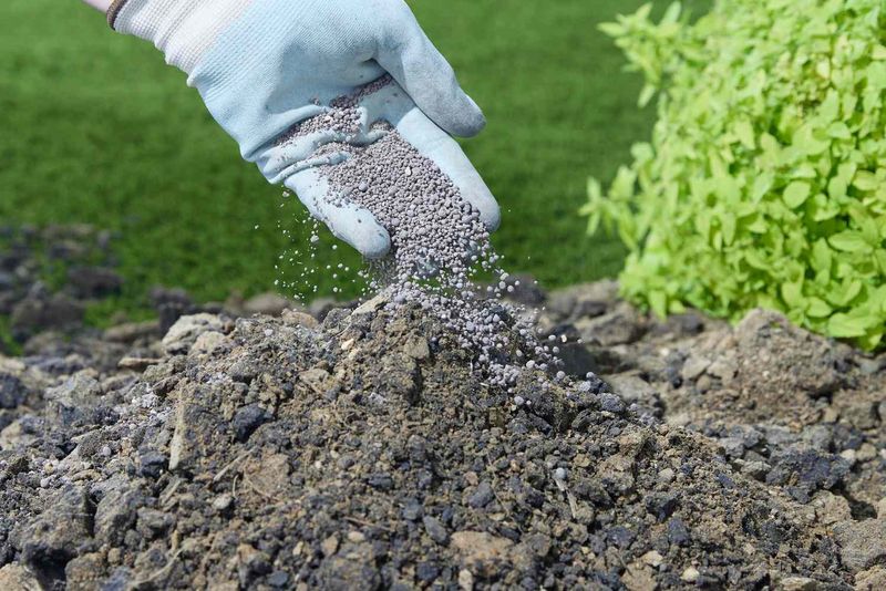 Clay-Heavy Soil Patches