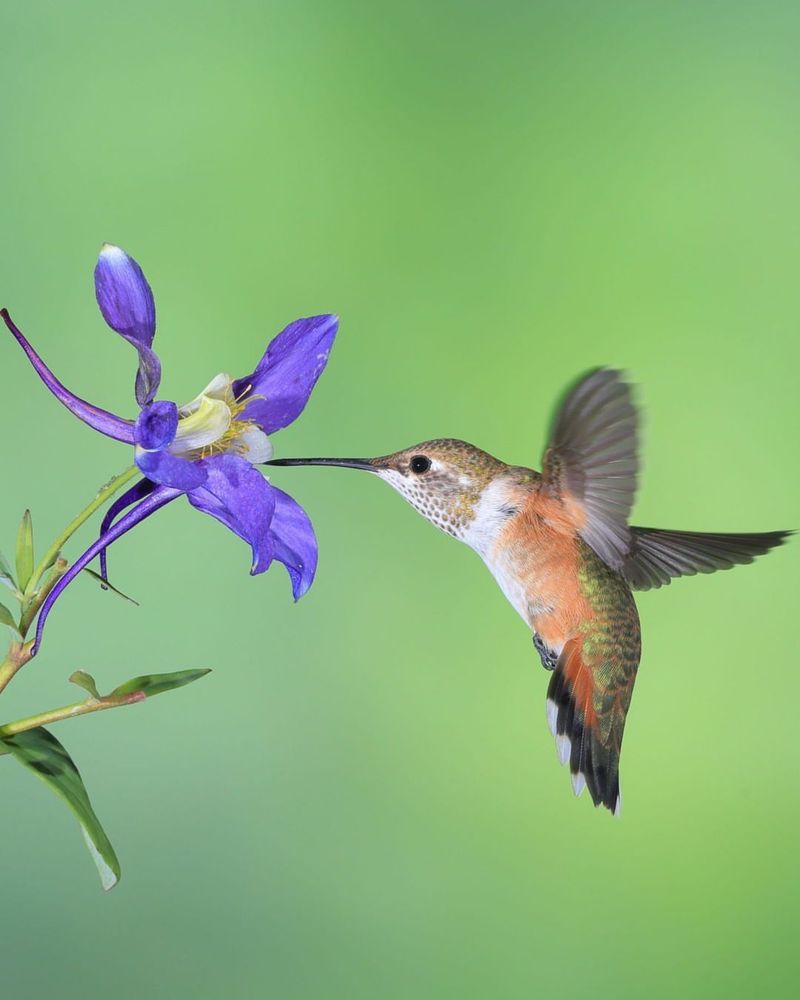 Natural Food Sources Are Still Abundant