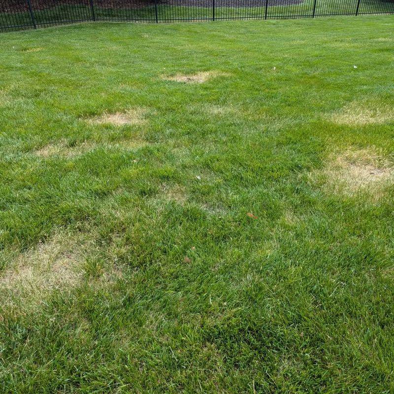 Storing Equipment On The Lawn