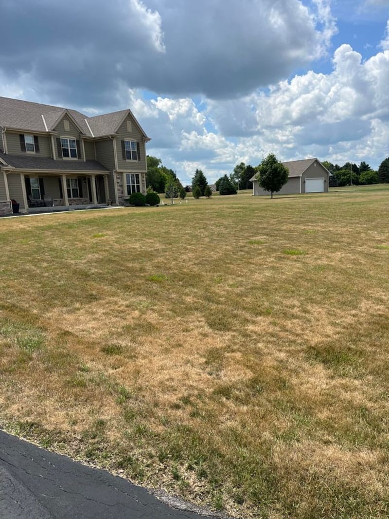Mowing During Drought Stress