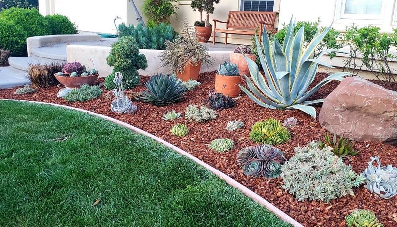 Planting in Wrong Locations