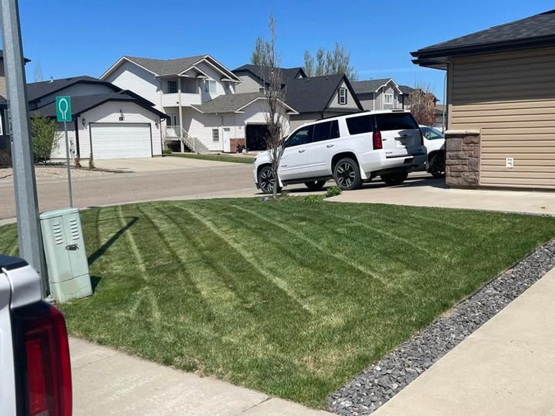 Parking Vehicles On The Lawn