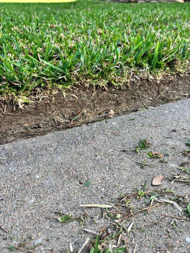 Ignoring Gaps in Landscape Edging