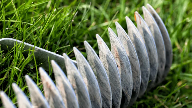 Reduces Thatch Buildup Naturally