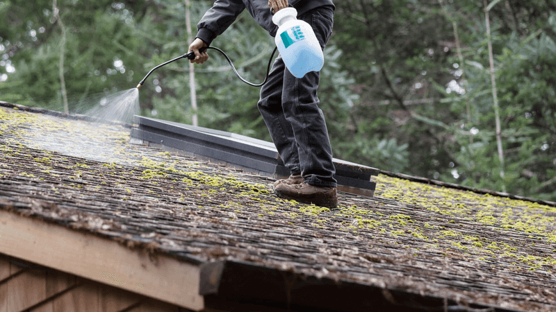 Eliminating Moss Growth Effectively