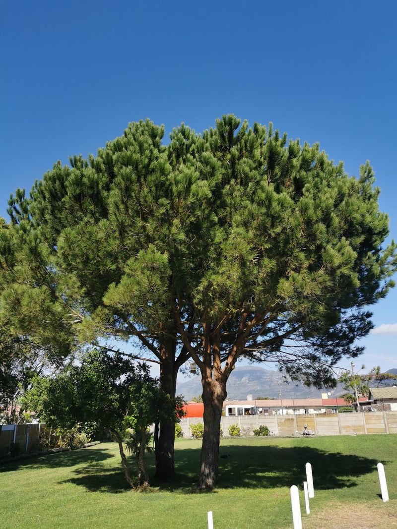 Legal Property Boundary