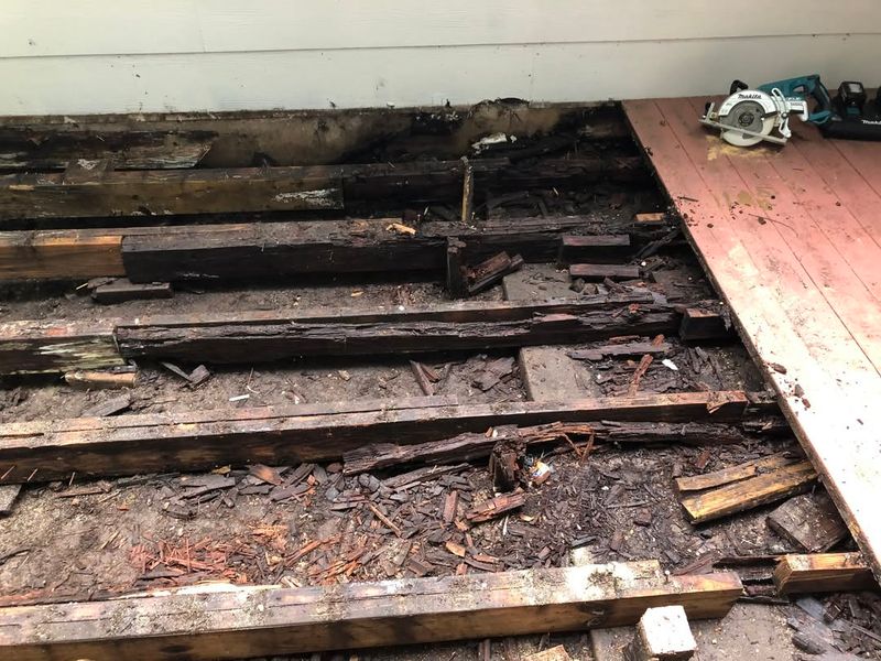 Look For Rotting Wood And Soft Spots