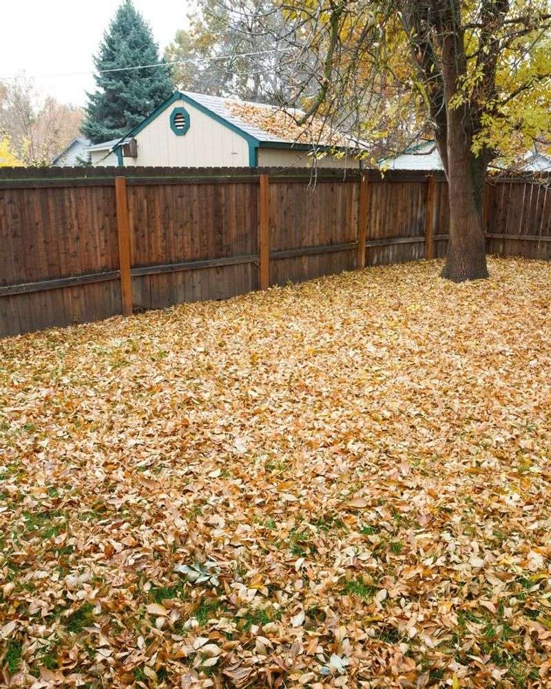 Homeowner Association Rules May Apply