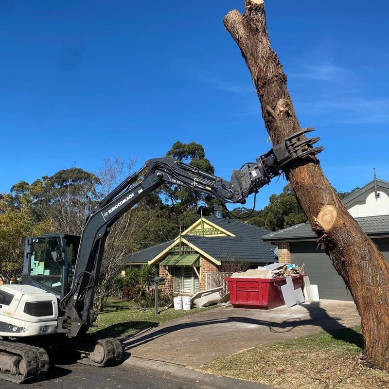 Unstable Trees Topple