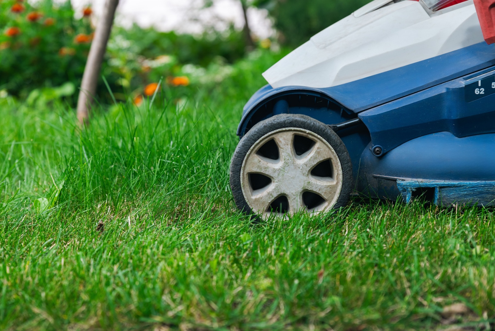 Lawn mower on a grassy lawn
