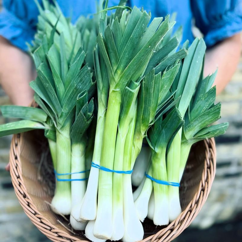 Leeks