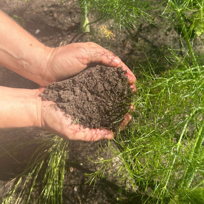Chemical Fertilizers And Pesticides
