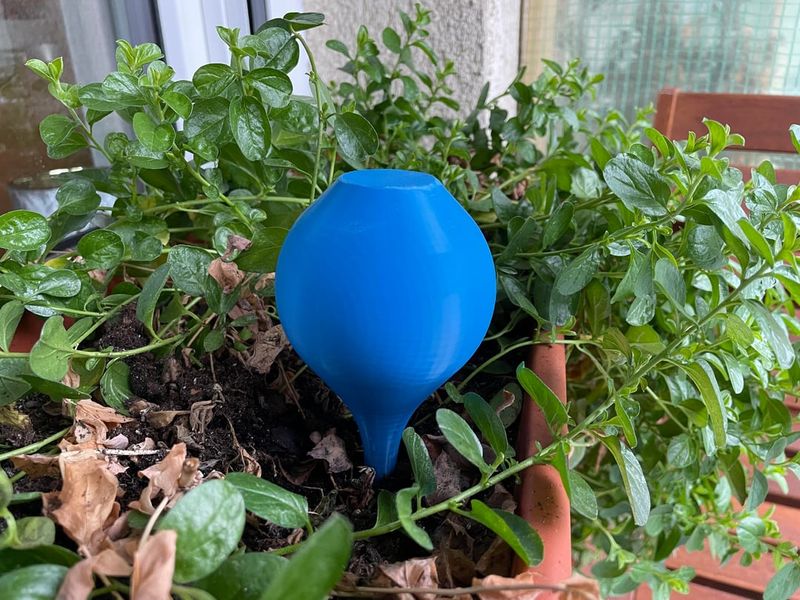 Neglecting to Water After Planting