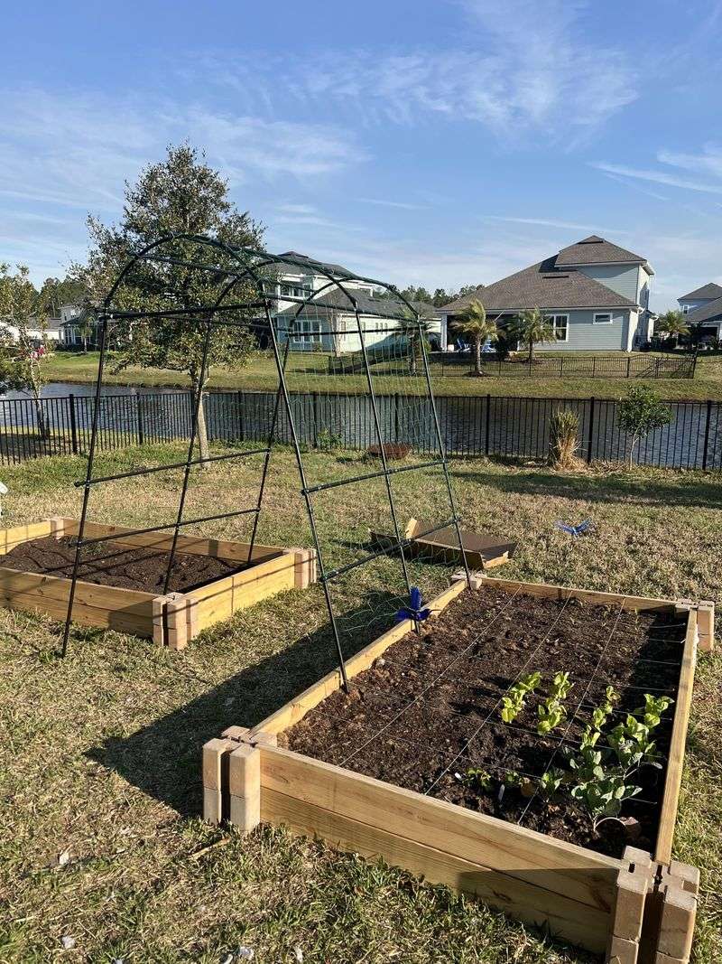 Using Wrong Fertilizers