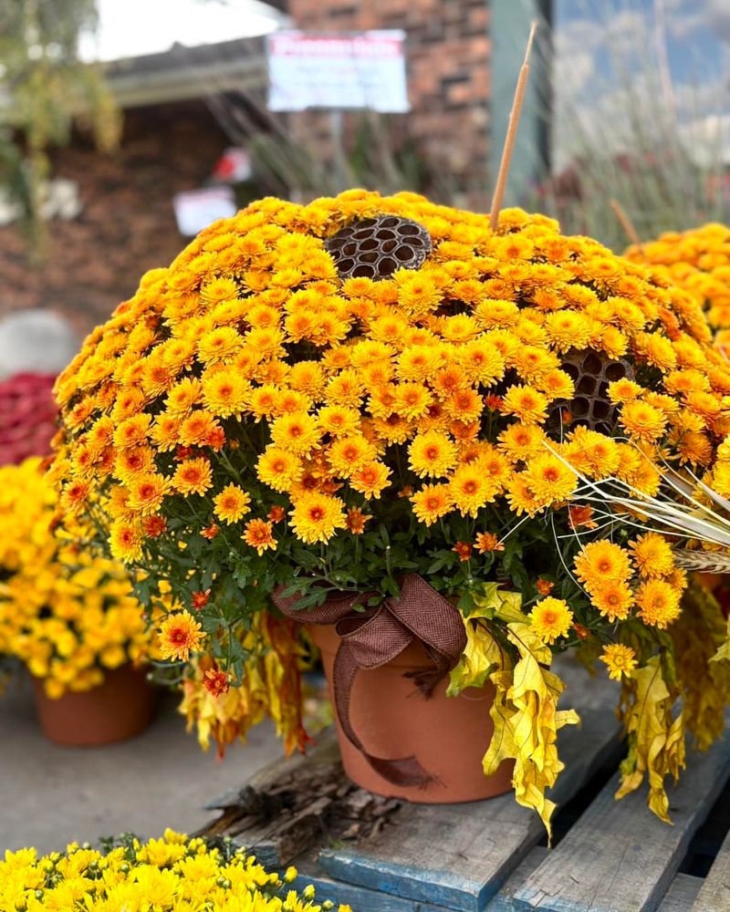 Not Considering Ohio's Unpredictable Fall Weather