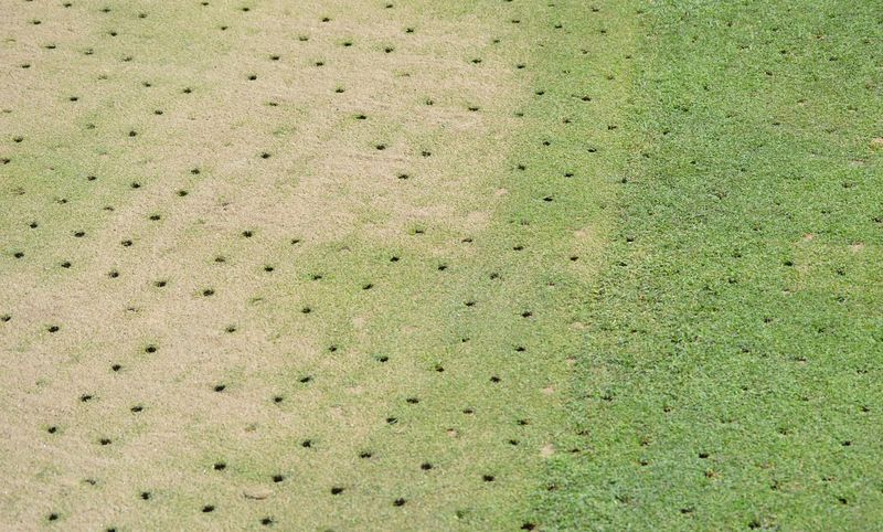 Forgetting To Aerate Compacted Soil