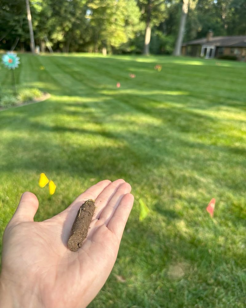 Forgetting To Aerate Compacted Soil
