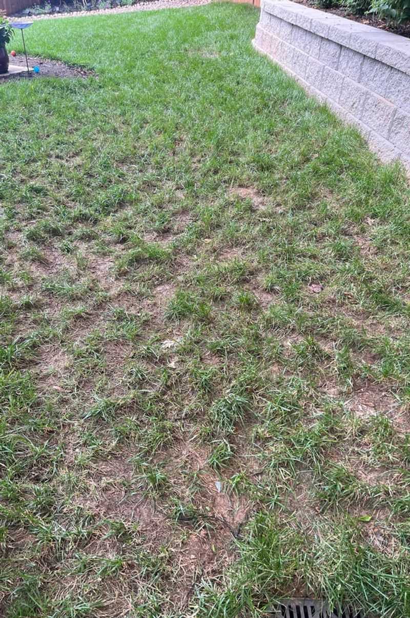 Neglecting Aeration