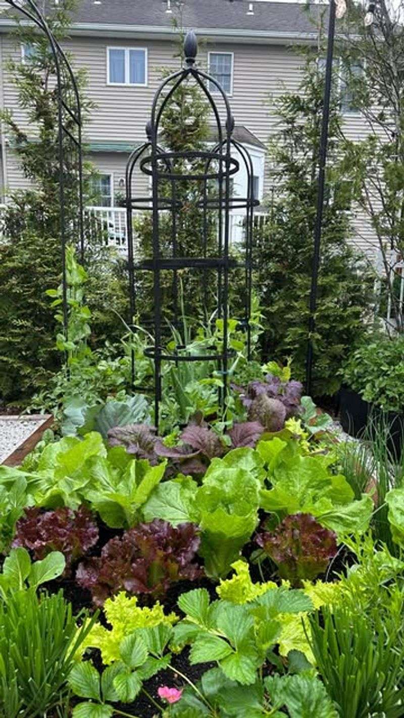 Planting Summer Crops Too Late
