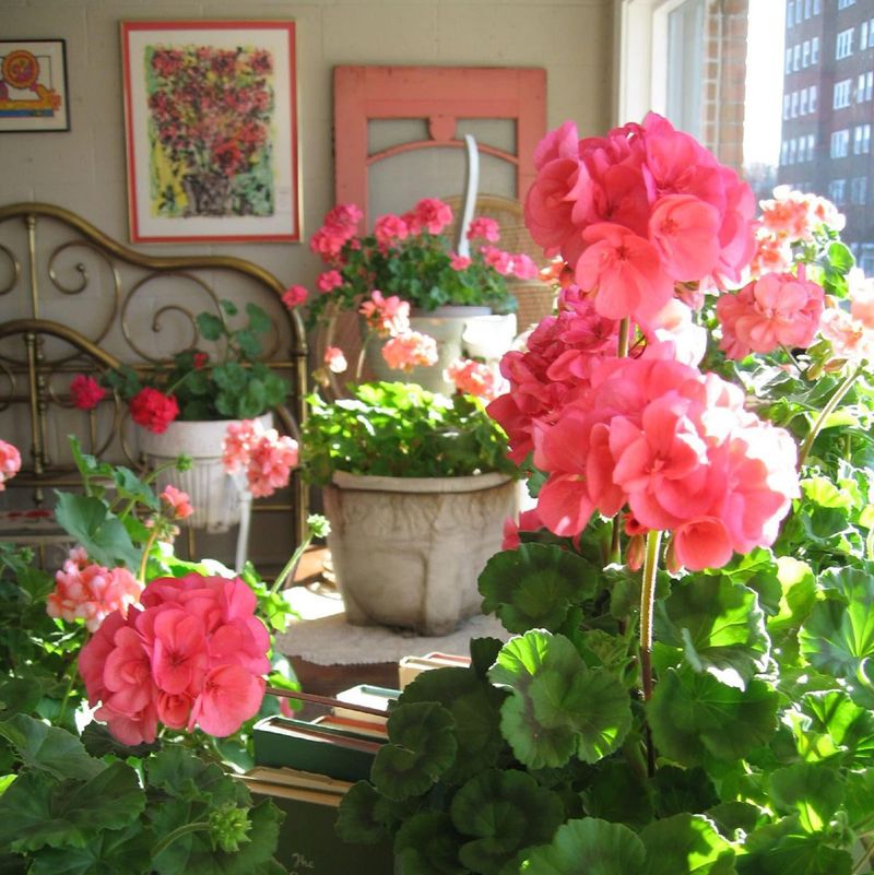 Create A Basement Grow Light Setup
